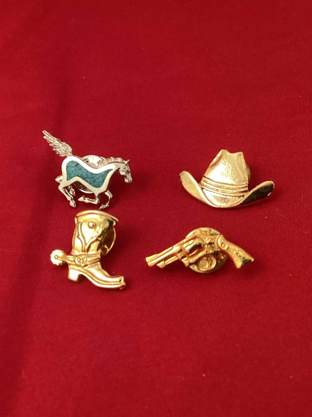 Western Charm Pin Set